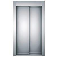 Srl 2 Panel Automatic Floor Door