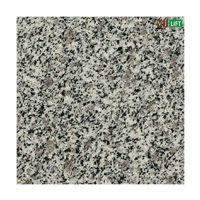Vilift VTB-109 Granite Floor Pattern