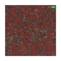 Vilift VTB-112 Granite Floor Pattern